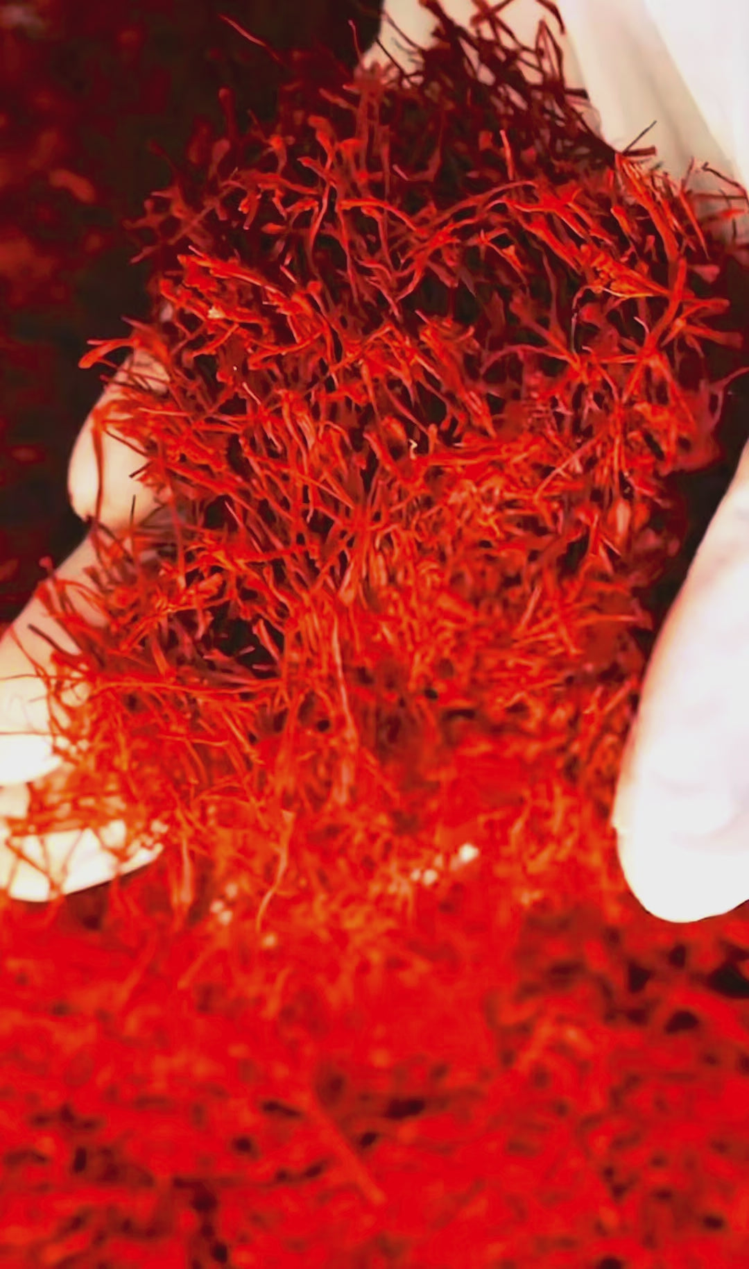 Pure Saffron Gummies